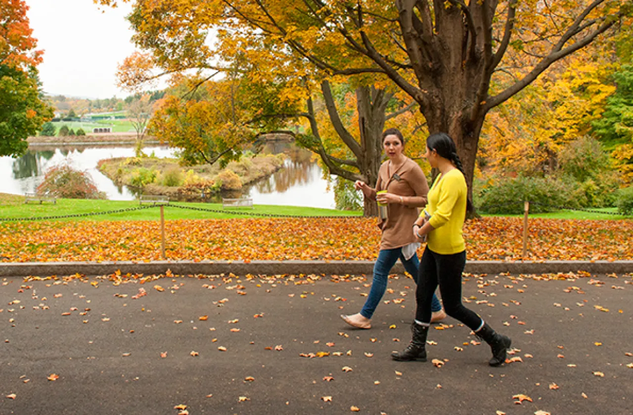 Campus Visit Programs