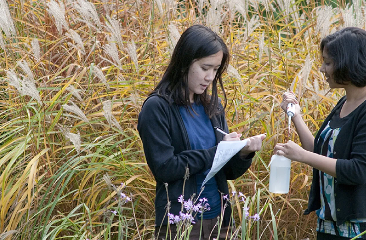 Two Smith students stand in tall grass and take specimen samples