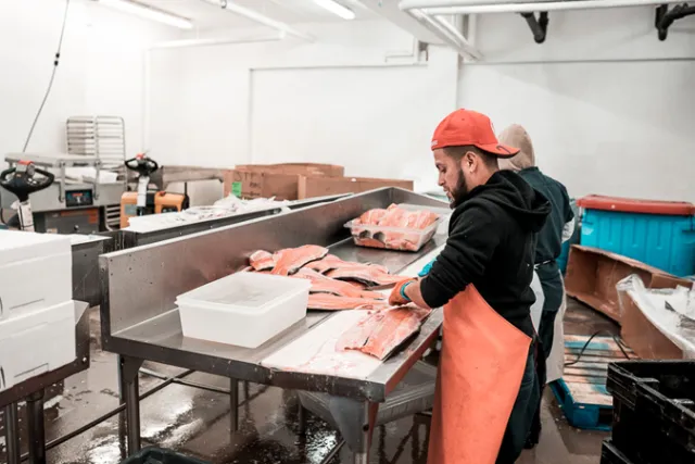 Red's Best Seafood. A photo of a worker preparing fish.