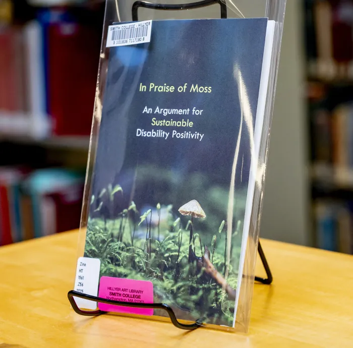 Zines on display in Hillyer Art Library