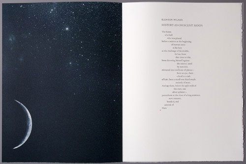 Moon by Eleanor Wilner